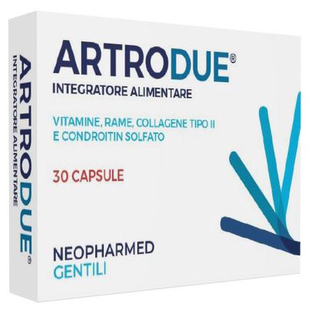 ARTRODUE 30 CAPSULE 0,2 G image not present