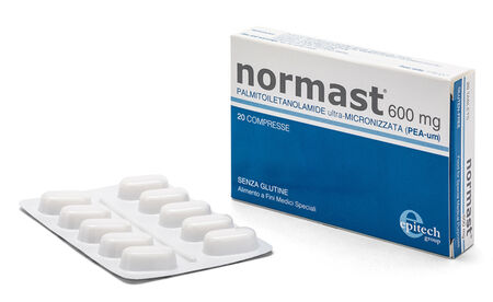 NORMAST 600 MG 20 COMPRESSE image not present