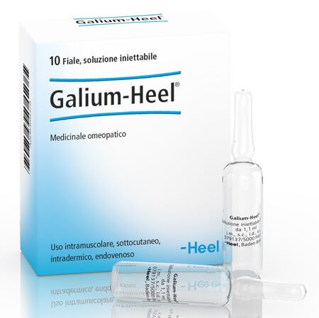 HEEL GALIUM 10 FIALE DA 1,1 ML L'UNA image not present