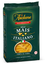 LE ASOLANE FONTE DI FIBRA PENNE 250 G