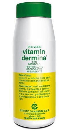 VITAMINDERMINA POLVERE MENT 100 G image not present