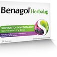 BENAGOL HERBAL FRUTTI DI BOSCO 24 PASTIGLIE image number null