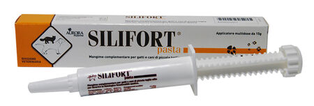 SILIFORT PASTA OS SIRINGA 15 G image not present