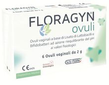 OVULI VAGINALI A BASE DI LATTOBACILLI LISATI FLORAGYN OVULI 2 G 6 PEZZI
