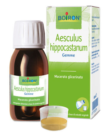 AESCULUS HIPPOCASTANUM MACERATO GLICERICO 60 ML INT image not present