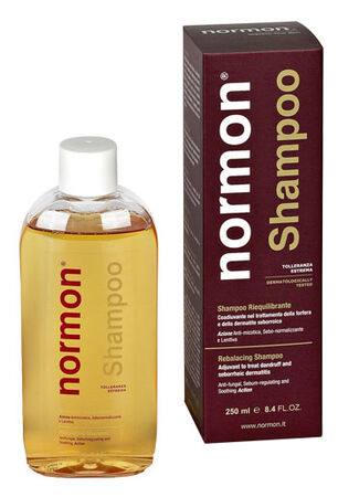 NORMON SHAMPOO RIEQUILIBRANTE ANTIFORFORA 250 ML image not present