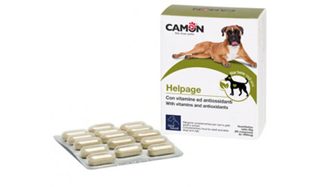 HELPAGE VET 60 COMPRESSE image not present