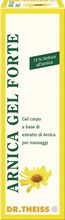 THEISS ARNICA GEL FORTE 100 ML THEISS ARNICA GEL FORTE 100 ML