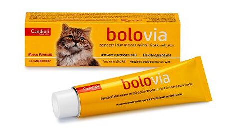 BOLO VIA PASTA GATTI TUBO 50 G image not present