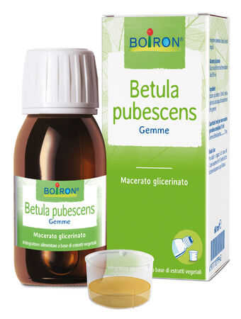BETULA PUBESCENS MACERATO GLICERICO 60 ML INT image not present