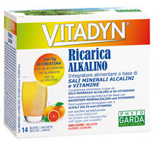 VITADYN RICARICA ALKALIN 14 BUSTINE
