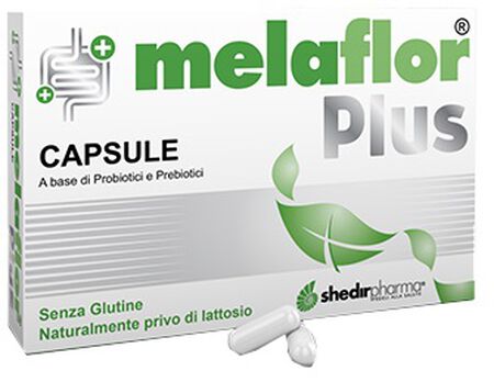 MELAFLOR PLUS 20 CAPSULE image not present