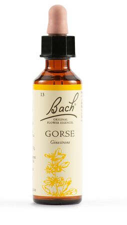 GORSE BACH ORIG 20 ML image not present