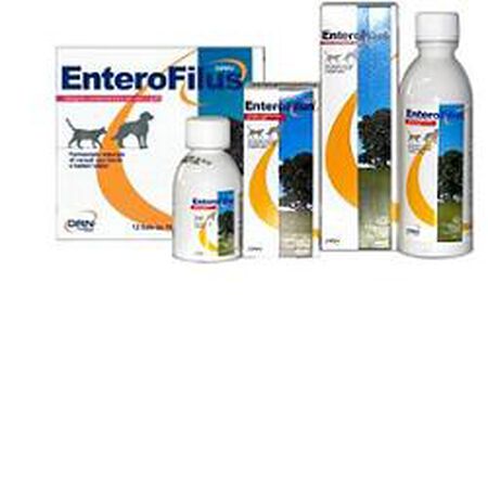 ENTEROFILUS MANGIME SEMPLICE 100 ML image not present