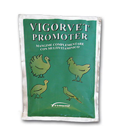 PROMOTER VIGORVET BUSTA 100 G image not present