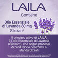 LAILA*14 cps molli image number null