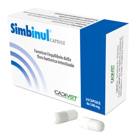 SIMBINUL 24 CAPSULE image not present