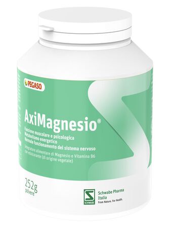 AXIMAGNESIO POLVERE 252 G image not present