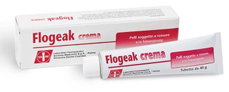 FLOGEAK CREMA 40 G image not present