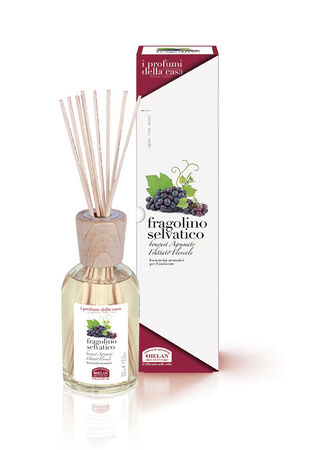 I PROFUMI DELLA CASA FRAGOLINO SELVATICO-BASTONCINI AROMATICI 100 ML image not present