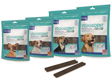 VEGGIEDENT FR3SH S 15 STICK image not present
