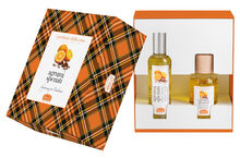 I PROFUMI DELLA CASA SET AGRUMI SPEZIATI 1 FRAGRANZA AMBIENTE SPRAY 100 ML + BASTONCINI AROMATICI AMBIENTE 100 ML