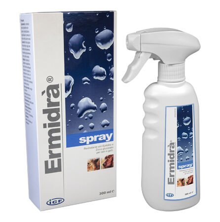 ERMIDRA' SPRAY 300 ML image not present