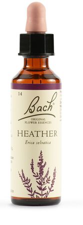 HEATHER BACH ORIG 20 ML image not present