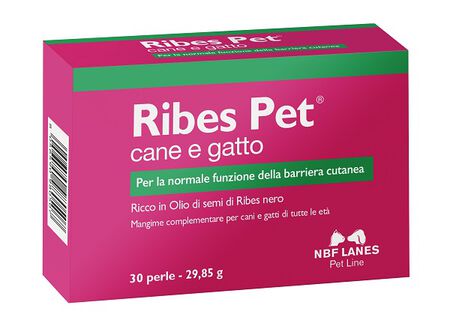 RIBES PET BLISTER 30 PERLE image not present