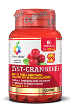 COLOURS OF LIFE CYST-CRANBERRY CON VITAMINA C E 60 COMPRESSE 1000 MG