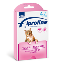 FIPRALONE*spot-on soluz 4 pipette 0,5 ml 50 mg gatti