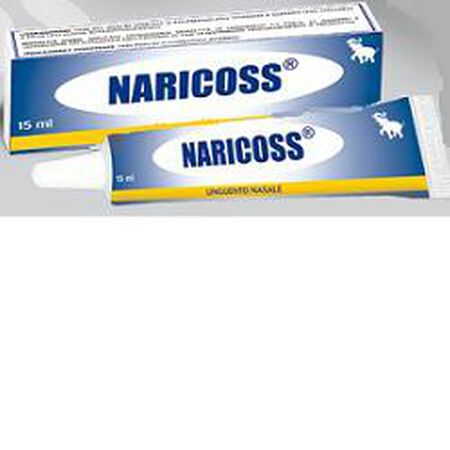 NARICOSS UNGUENTO NASALE 15 G image not present