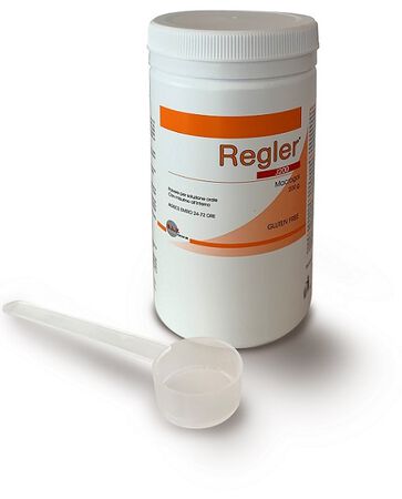 REGLER 200 G image not present