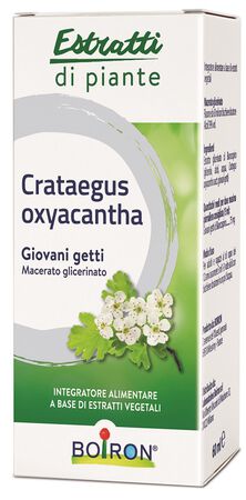CRATAEGUS OXYACANTHA MACERATO GLICERICO 60 ML INT image not present