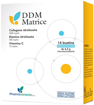 DDM MATRICE 14 BUSTINE image not present