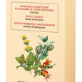 AMARO GIULIANI ELISIR BENESSERE 300 ML NUOVA FORMULA image number null