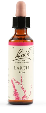 LARCH BACH ORIG 20 ML image not present