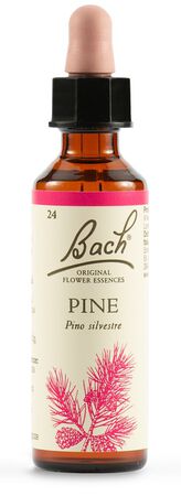 PINE BACH ORIG 20 ML image not present