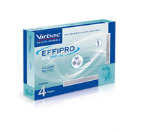 EFFIPRO*spot-on soluz 4 pipette 0,5 ml 50 mg gatti