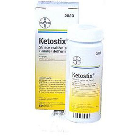 STRISCE MISURAZIONE CHETONURIA KETOSTIX 50 PEZZI image not present