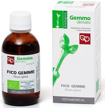 FICO GEMME MACERATO GLICERINATO BIO 50 ML image not present