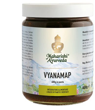VYANAMAP PASTA 600 G image not present