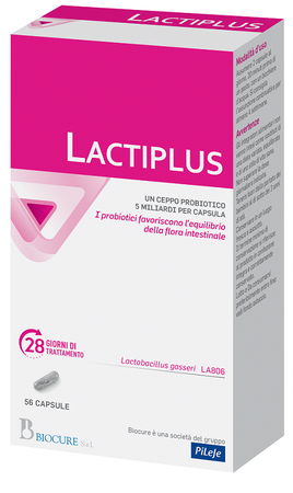 LACTIPLUS 56 CAPSULE image not present