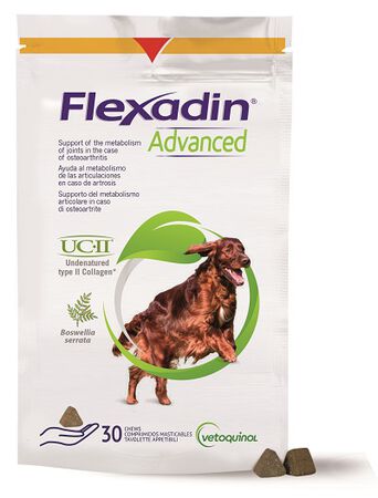 FLEXADIN ADVANCED CANE TUTTE LE TAGLIE 30 TAVOLETTE APPETIBILI image not present
