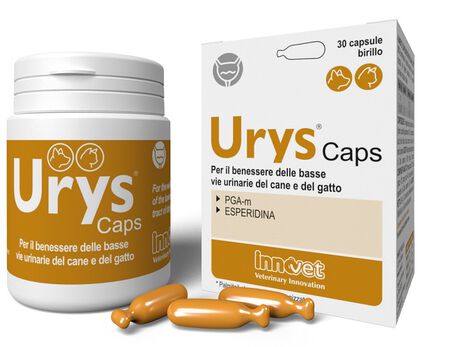 URYS CAPS 30 CAPSULE image not present