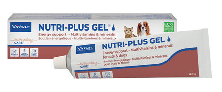 NUTRIPLUS GEL PASTA ORALE 120 G image not present
