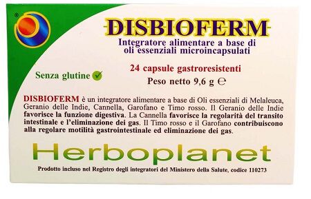 DISBIOFERM 24 CAPSULE image not present