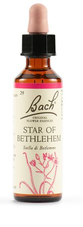 STAR OF BETHL ORIG 20 ML image not present