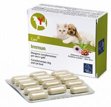 IMMUN 60 COMPRESSE
