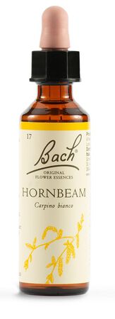 HORNBEAM BACH ORIG 20 ML image not present